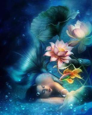 12007125_1495970817389341_241935333_n