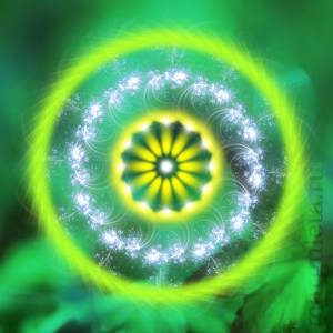 12075098_1097276270283016_4318676826998029367_n