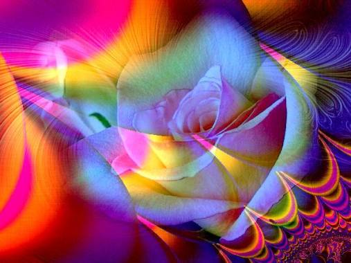 12079093_1026894584009173_4514137253204094217_n