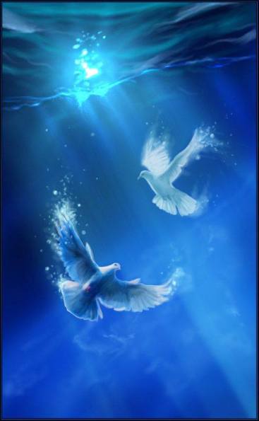 12088542_1513809055596027_7313386914872881106_n