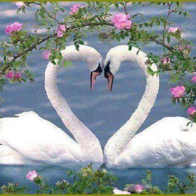 12118755_1050560661620957_3318841822992793989_n