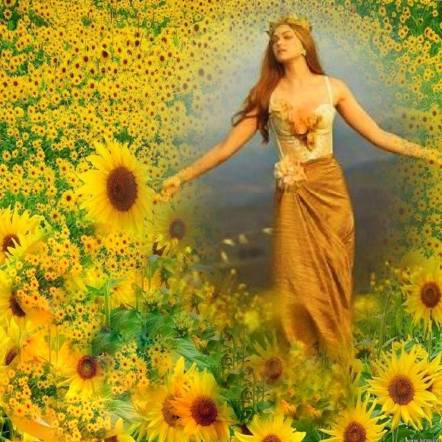 12118859_707462679386208_7928942297605065087_n