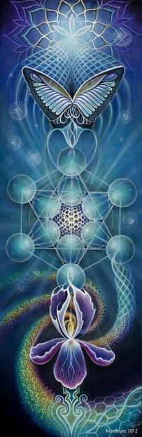 12119153_143035736051188_1710622359450559367_n