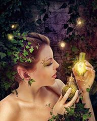 12122812_539878806160934_6396291876478567515_n