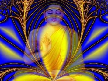 1235521_1429090717311137_1414613045_n