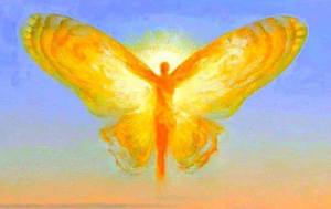 1536444_603590466414114_1691415717806448204_n