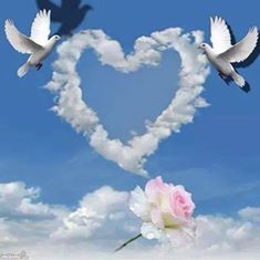 15799_708931012517398_7553284497451121432_n