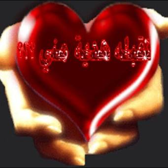 16095_353008211540925_3257048243778938248_n