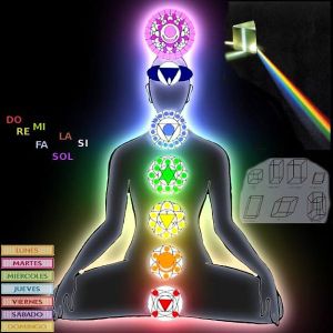 1898015_659119357478510_920550742_n