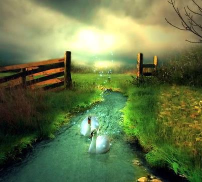 388706_178209145608881_2033534533_n