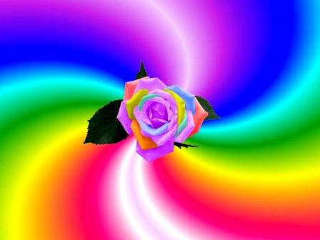 430705_379179232160869_727545913_n