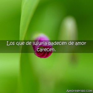 679_los-que-de-lujuria-padecen-de