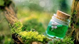 943017_141307946061430_874884117_n