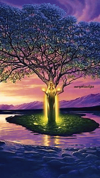 BLOG COMPARTIENDO LUZ