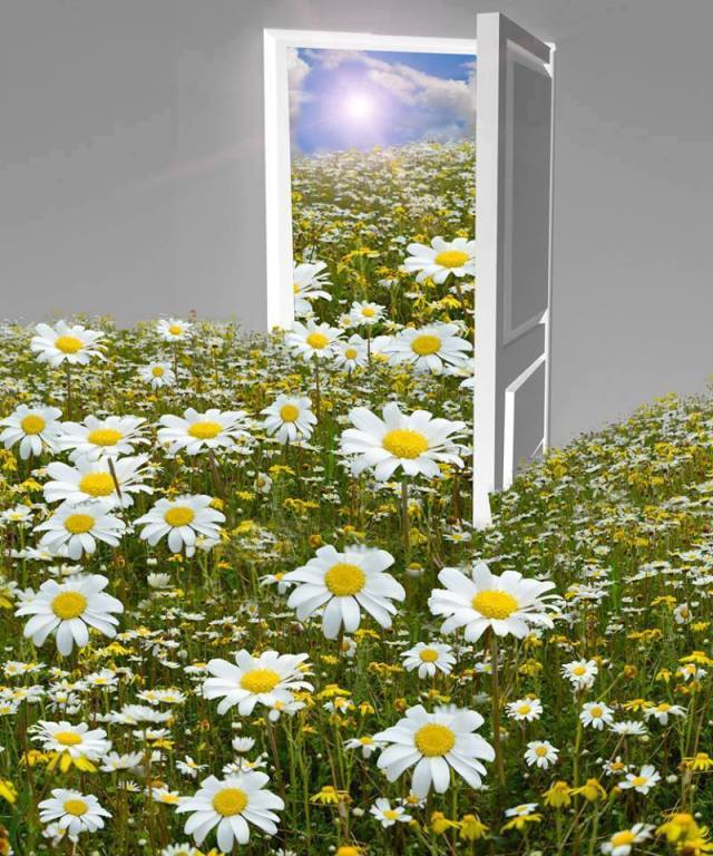 10384588_483631331769318_2417982203663936316_n