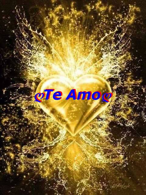 11150771_862421450473126_920907648443617157_n