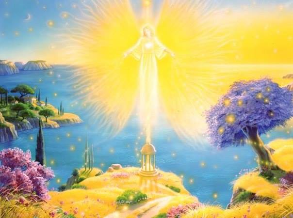 12036722_492884287538472_8028047222425136652_n