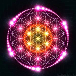 12063628_898621310173098_9218291389261102705_n