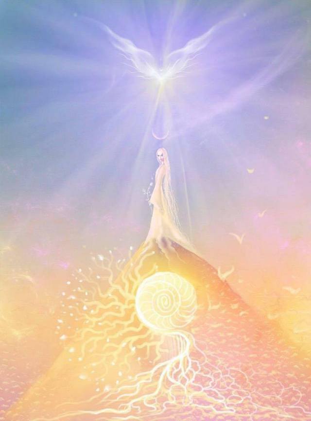 12190988_582980378522331_5515824379135920807_n