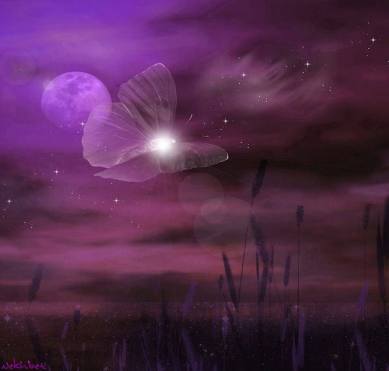 12208341_1690639104515182_5810708613182974970_n