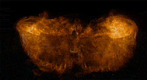 l41lZxW3gBBzYuRZS (1)