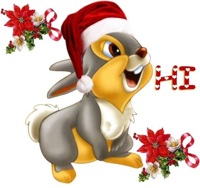 10421515_642240942565658_797751484698015222_n (1).jpg