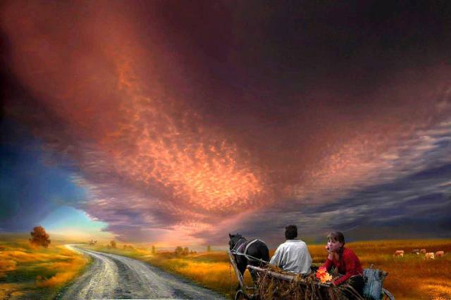 12304337_786556988119742_793198931426577968_o