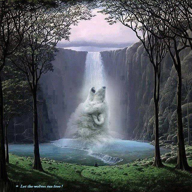 1531759_10152883651873058_4632910705580186508_n