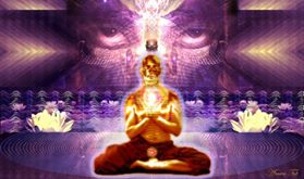 1780688_657683884346898_5493963392008196413_n