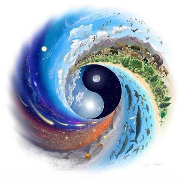 1918444_394546790715584_827691503326896686_n