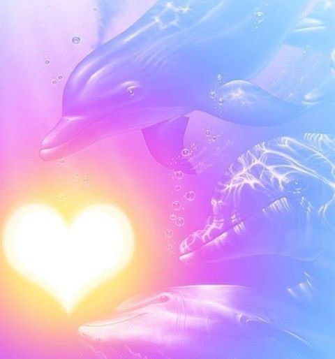 970164_606392099403863_1266307394_n