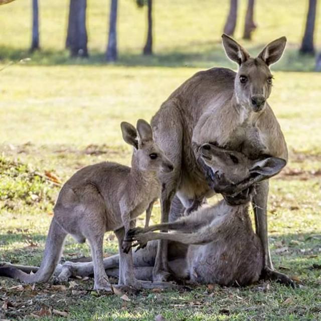 10689418_1005277056202004_7681931278961356536_n