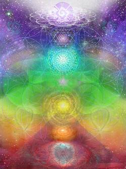 11917675_10153018509630598_4381220029574016738_n