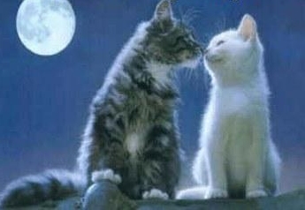 12030979_KUKSWEWTISTXDIR