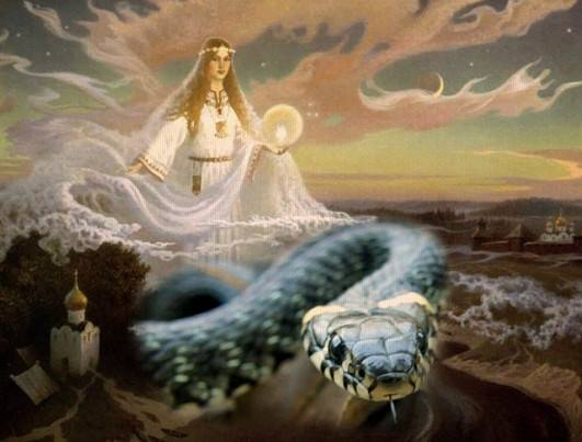 12573194_565421230280691_8917590780374440517_n