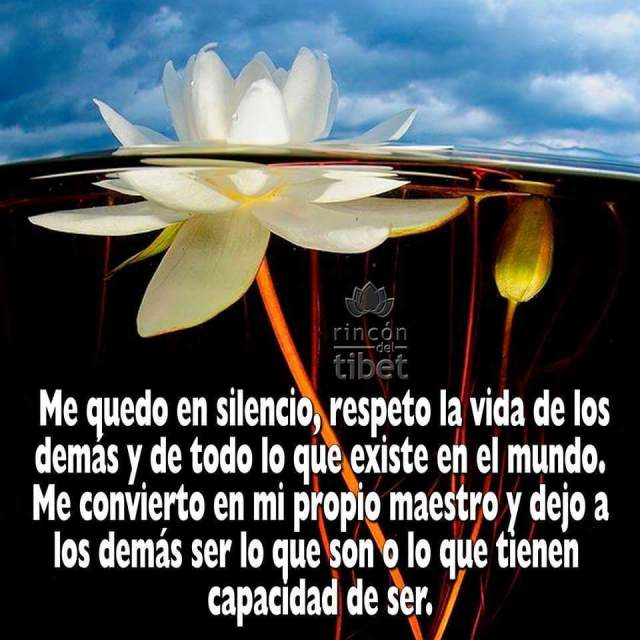 1929950_996103443762232_912113786709235925_n