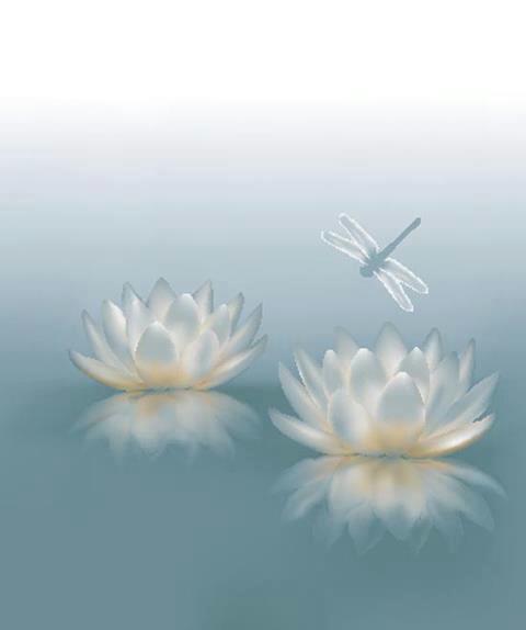 481934_209993755806127_1373723152_n