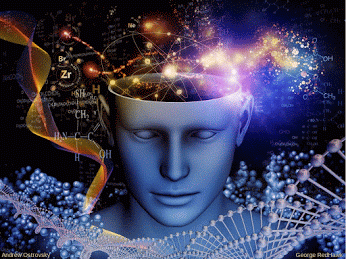 Andrew Ostrovsky_2_credits_reverse