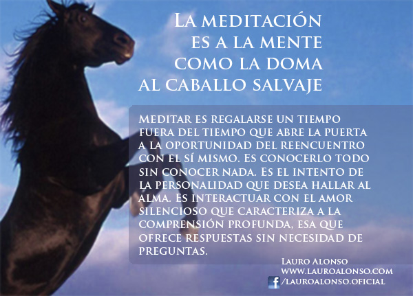 frase_meditacion