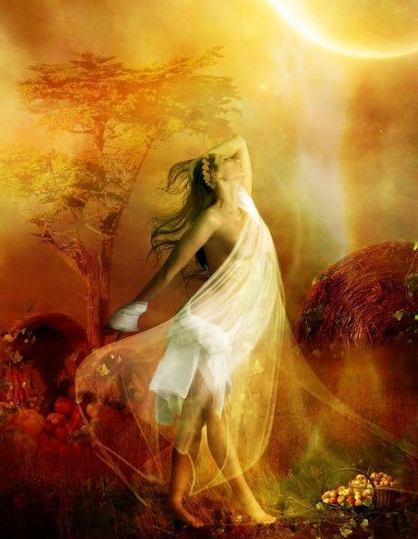 10277548_10153033337478158_2516115224297370417_n