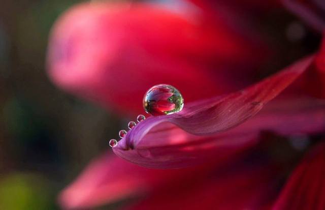 10426787_10153484235561313_4883142622732458094_n