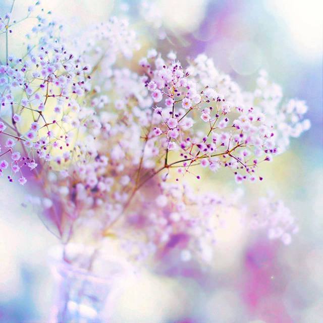 12745716_1172844839412495_2377107664702075153_n