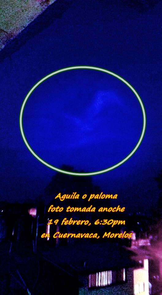 12746074_1132211736818969_434055789_n