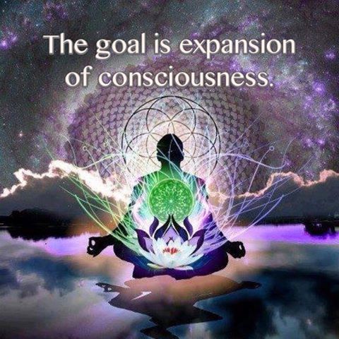 1002200_696031083759680_796930303_n