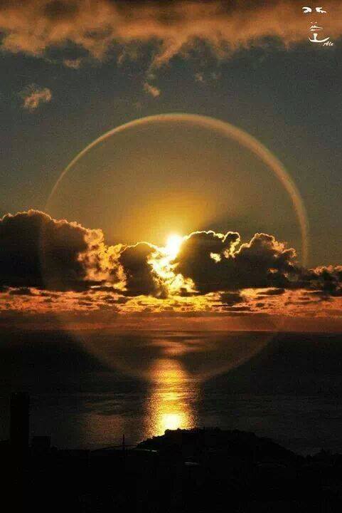 11514_10203065747315683_984925714_n