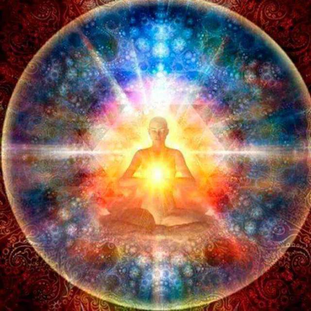 11659476_10207125985368257_1703578313792876285_n