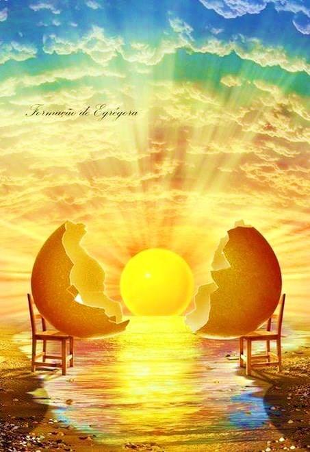 15872_979352425427565_7284679023917780848_n