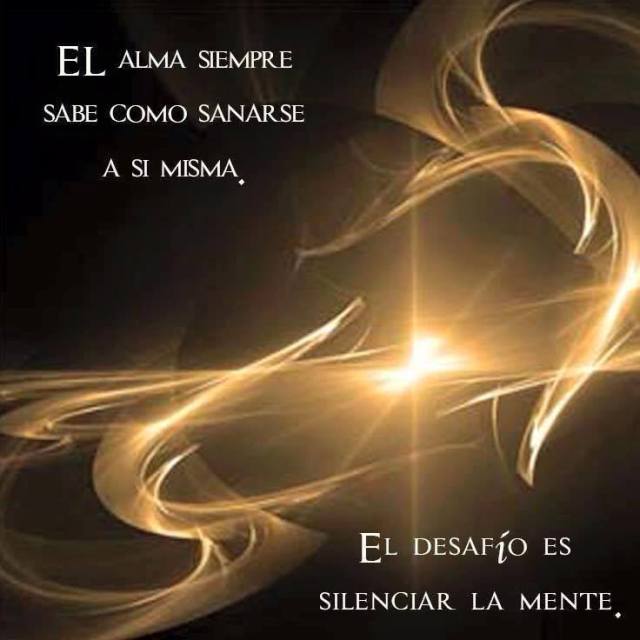 1922163_10153926941227332_6613201103713163226_n