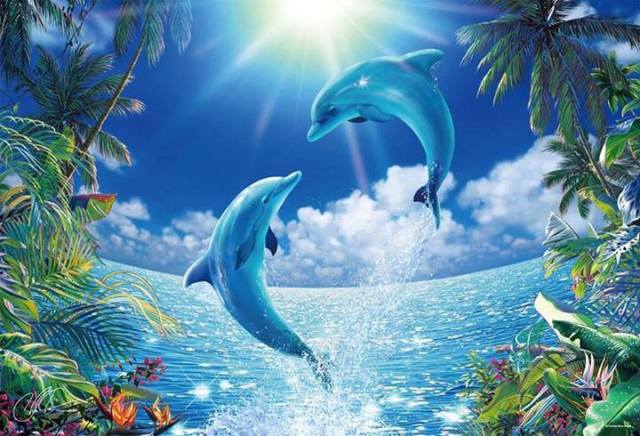 1978793_746517695393436_1449072392_n