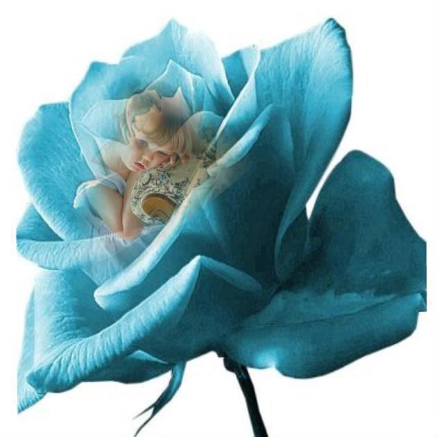 267852_4721514280109_1575961910_n